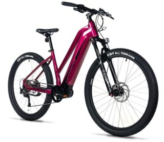 E-BIKE SWAN LADY 29", 18"-2, VIOLET SHINY (MODEST)