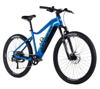 E-BIKE 29" ARIMO GENT 20,5"-2 BLUE (REAR MOTOR)