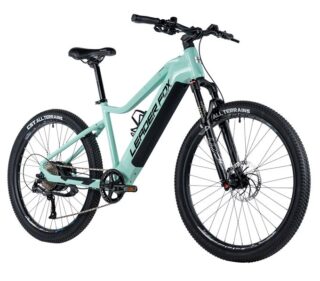 E-BIKE 27,5" ARIMO  GENT 19,5"-1, GREEN LIGHT (REAR MOTOR)