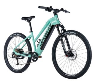 E-BIKE 29" ARIMO LADY 16,5"-3, GREEN LIGHT (REAR MOTOR)