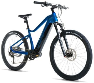 E-BIKE SWAN GENT 29", 17,5"-3, BLUE SHINY (MODEST)